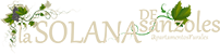 lasolanadesanzoles.com