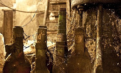 Visita guiada a las bodegas