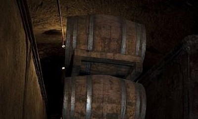 Visita guiada a las bodegas