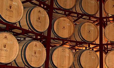 Visita guiada a las bodegas