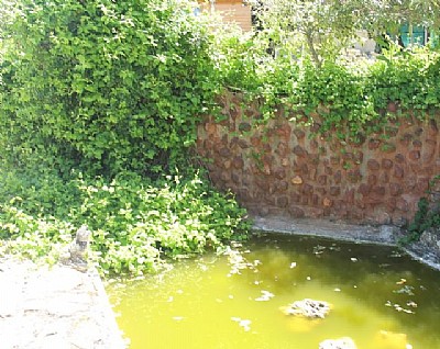 Zona de Recreo Privada y Piscina