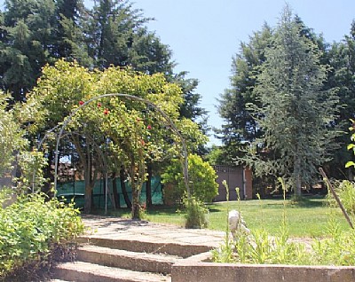 Zona de Recreo Privada y Piscina