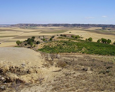 Sanzoles, Zamora y el Entorno