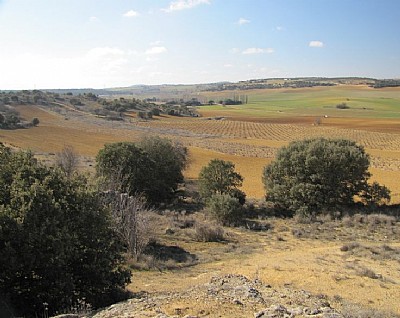 Sanzoles, Zamora y el Entorno