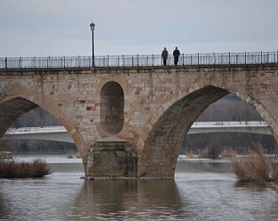 Sanzoles, Zamora y el Entorno