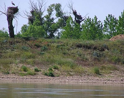 Sanzoles, Zamora y el Entorno